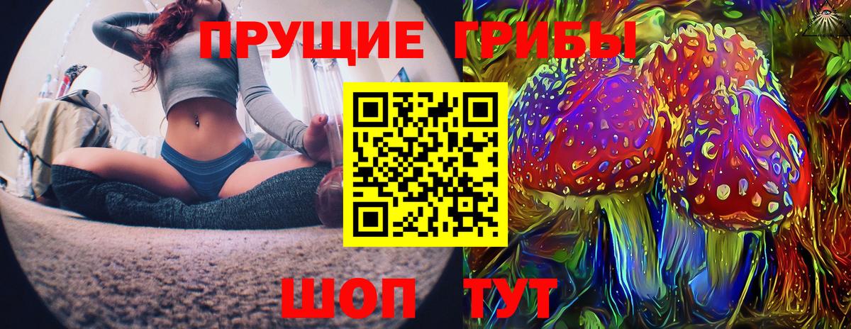 Псилоцибиновые грибы мухоморы Павловский Посад