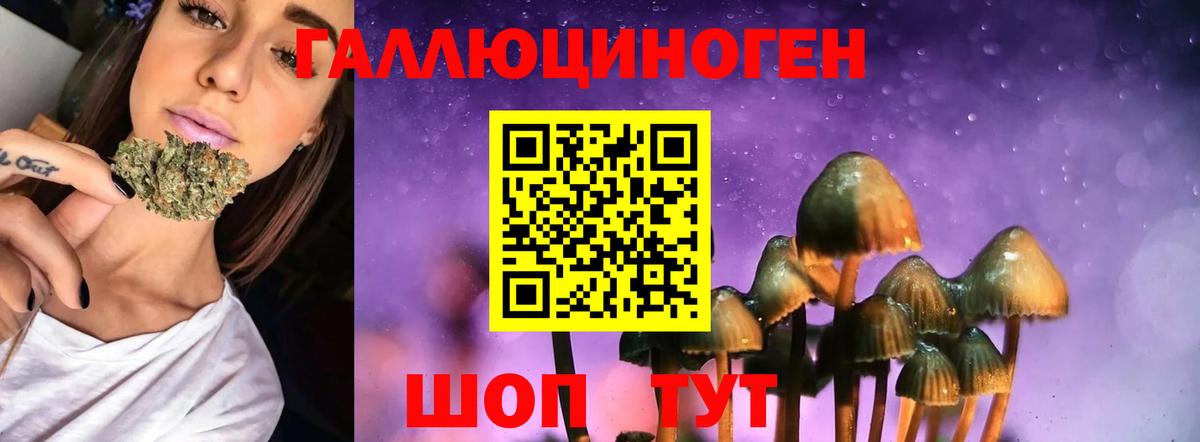 Псилоцибиновые грибы прущие грибы  Вход с VPN  продажа наркотиков  Павловский Посад 